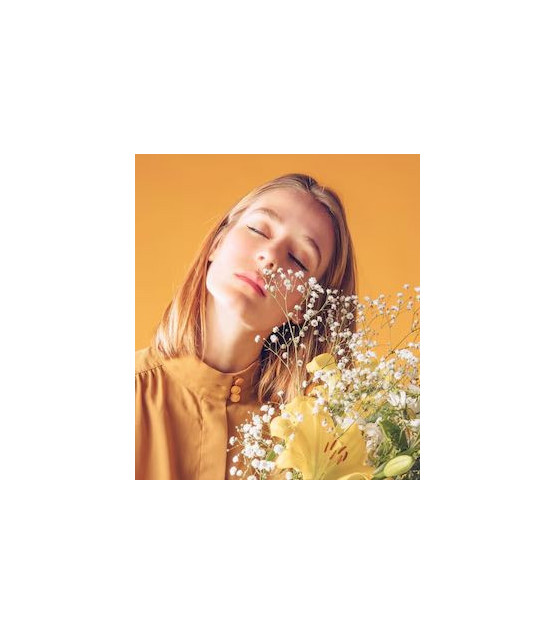 Brown bear - Vector graphics