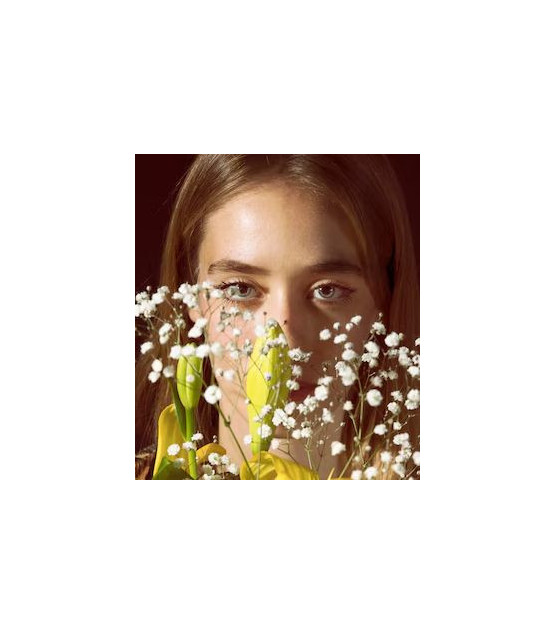 Hummingbird - Vector graphics